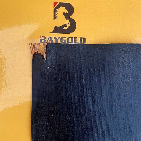 TIRE CORD FABRIC WITH RUBBER